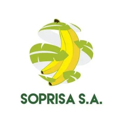 SURPRISE-LOGO