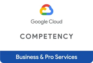 business and pro services competency