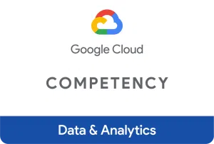 data and analytics competency