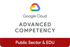 public sector and edu advanced competency