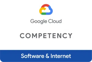 software and internet competency
